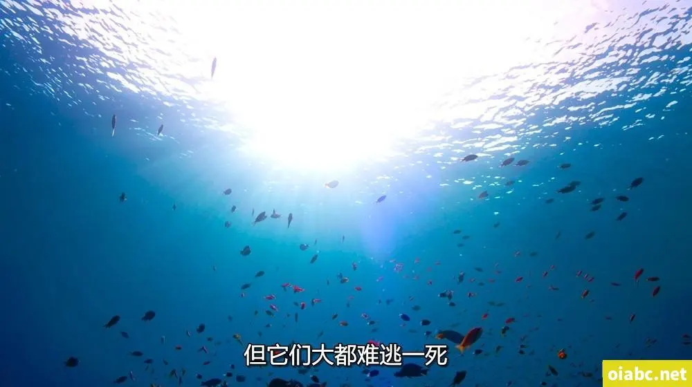 电视剧三十而已剧照2